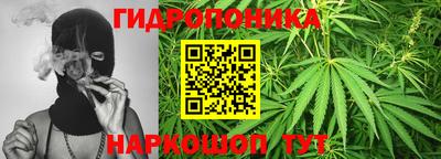 jwh Бийск