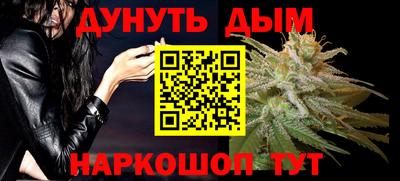 jwh Бийск