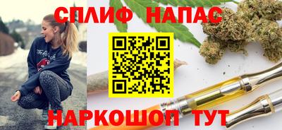 гашик Берёзовский