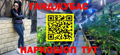 гашик Берёзовский