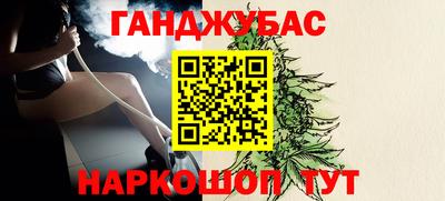 jwh Бийск