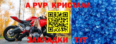 гашик Берёзовский