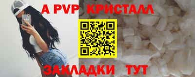 jwh Бийск