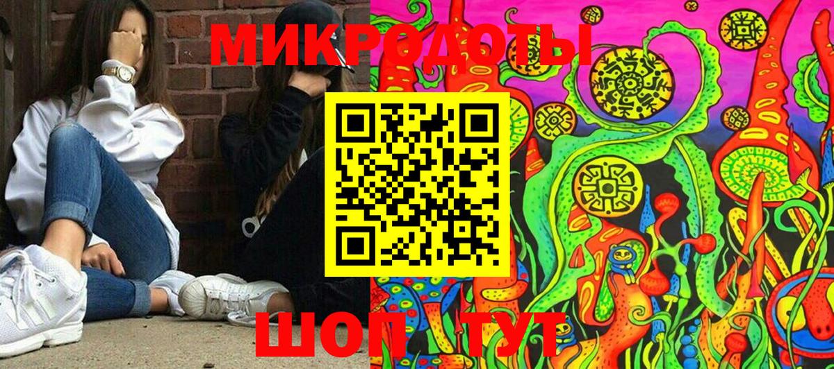 Галлюциногенные грибы мухоморы Каменка