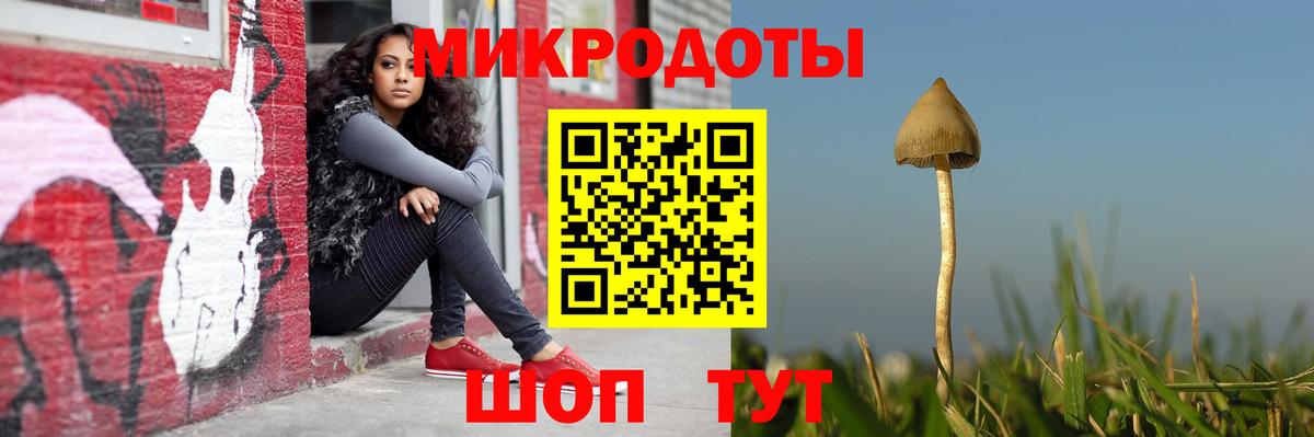Каменка  наркота  Вход с VPN  Псилоцибиновые грибы прущие грибы  Псилоцибиновые грибы GOLDEN TEACHER 